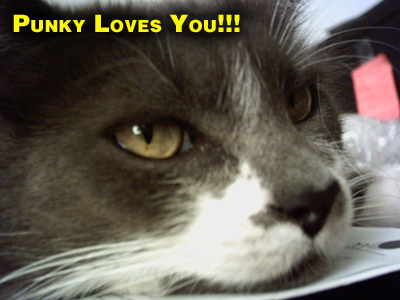 Punky Loves You