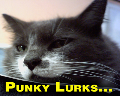 Punky Lurks