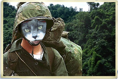 Punky is in the Army Now