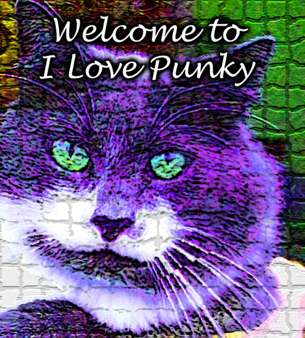 Welcome to I Love Punky